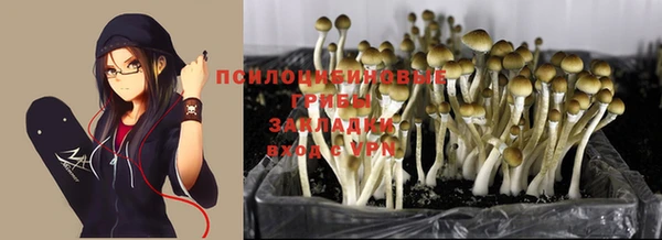 шишки Киренск