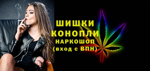 шишки Киренск
