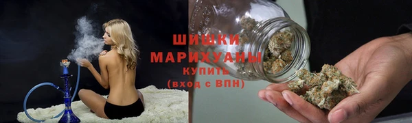 прущие грибы Киреевск