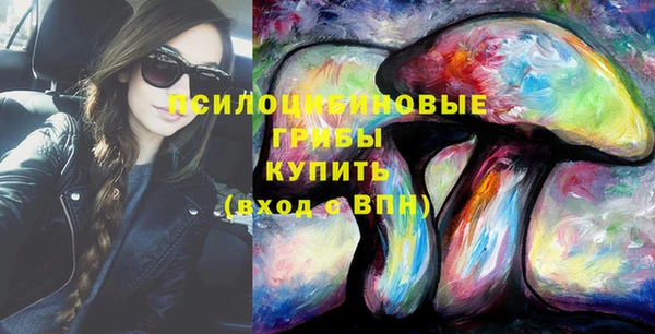 шишки Киренск