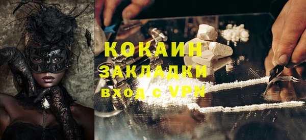 шишки Киренск