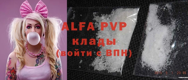 шишки Киренск
