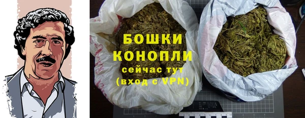 прущие грибы Киреевск