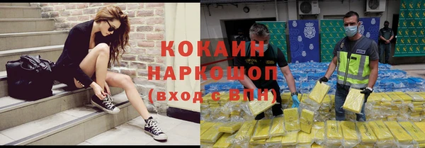 прущие грибы Киреевск