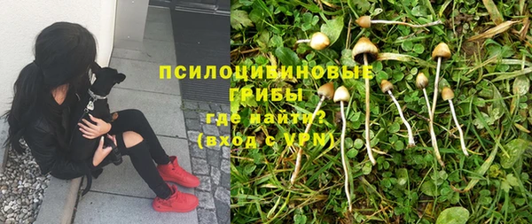 шишки Киренск
