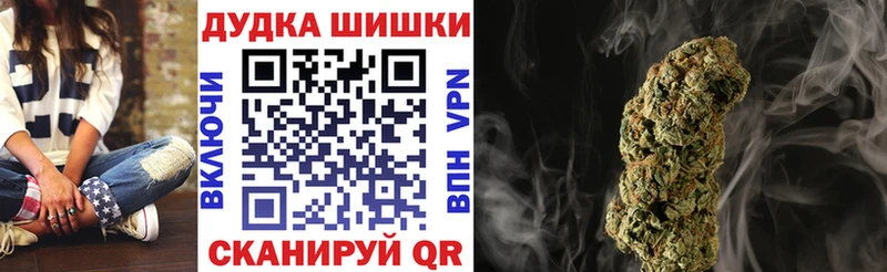 Бошки Шишки план  Купить закладки  Каменногорск 